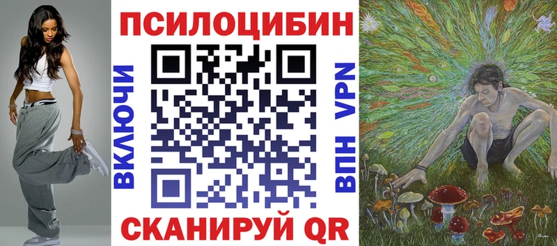 shop наркотические препараты  Сокол  Галлюциногенные грибы Psilocybe  цены наркотик 