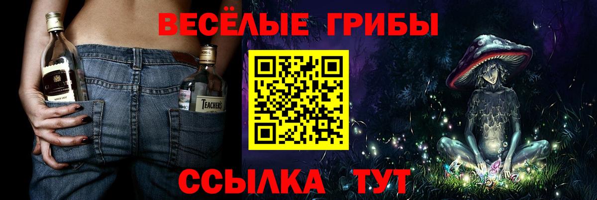 Галлюциногенные грибы мухоморы Сокол