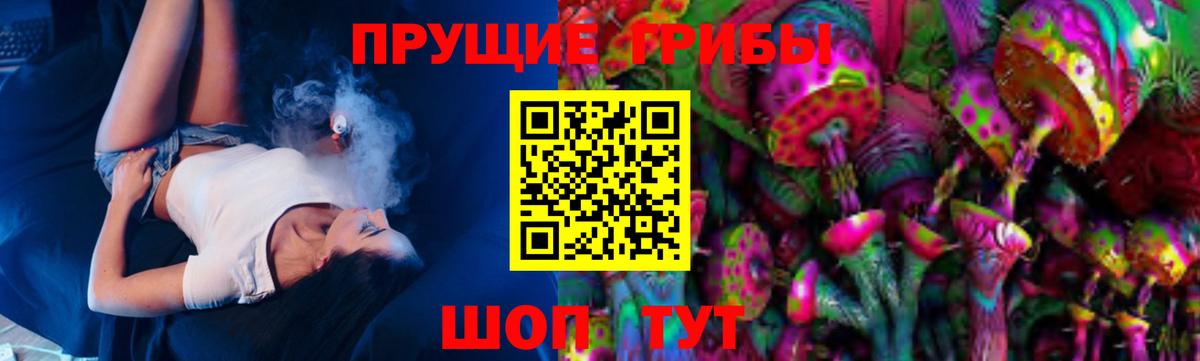 Псилоцибиновые грибы мицелий  Вход с VPN  Сокол 